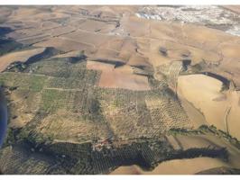 Terreno en venta en Olivares photo 0