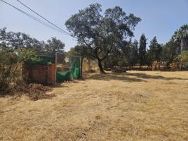 Finca rustica en venta en Castilblanco de los Arroyos photo 0