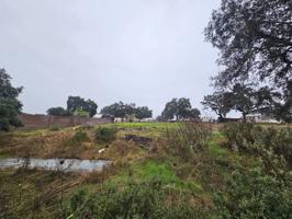Terreno en venta en Castilblanco de los Arroyos photo 0