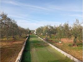 Parcela en venta en Villanueva del Ariscal photo 0