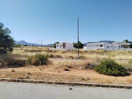 S NEVADA GOJAR photo 0