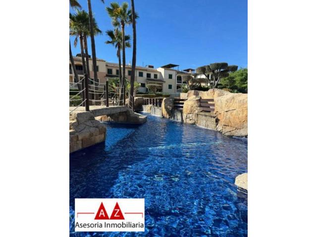 PLANTA BAJA EN ES CAULLS photo 0