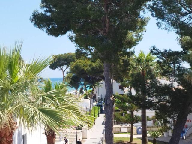 Apartamentos turísticos con division horizontal photo 0