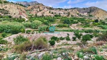 Terreno rústico de 5000m2 en Jijona para cultivo, con depósito de agua propio, cuevas de almacenaje. photo 0