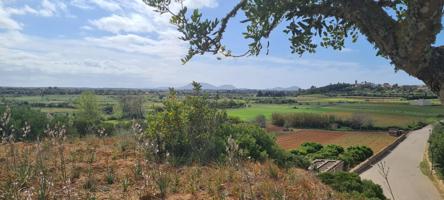 Fantástico suelo urbano en venta, perfectamente ubicado con preciosas vistas de Santa Eugenia. photo 0