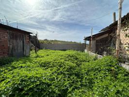 SE VENDE TERRENO URBANO EN VILLAR DE LOS BARRIOS photo 0