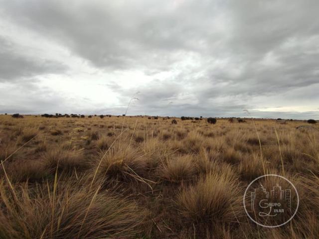 Granja En venta en Narrillos Del Álamo photo 0