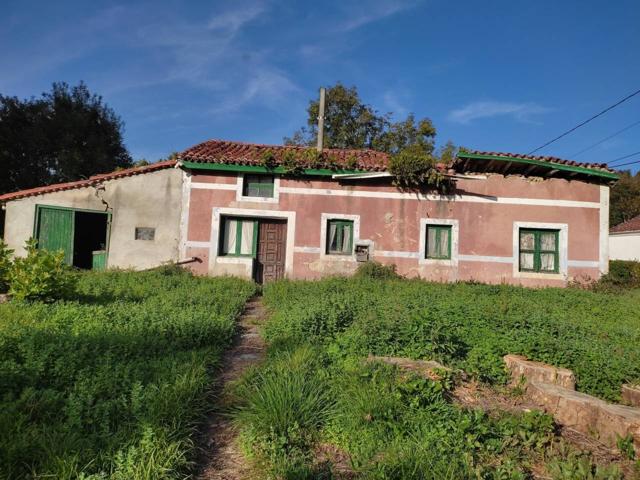 Casa a reformar con terreno , en SOLORZANO photo 0