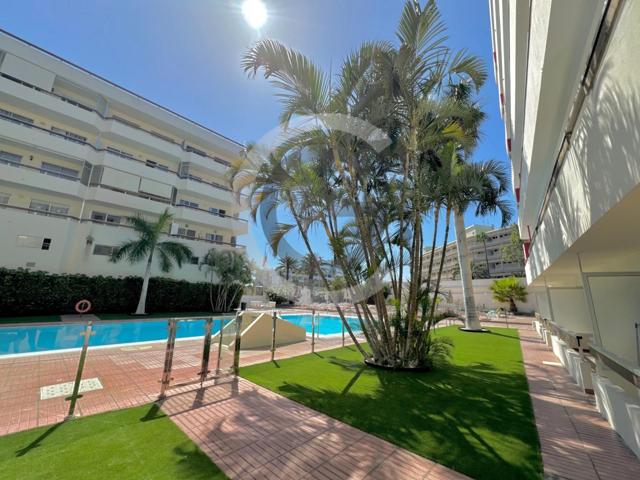 Se vende apartamento en Playa del Inglès photo 0