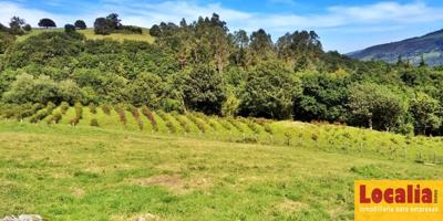 Finca rústica con cabaña y bosque autóctono photo 0