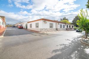 Casa en planta baja en Moraleda de Zafayona! photo 0