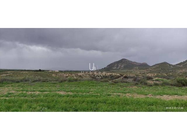 Finca rustica en venta en Zarcilla de Ramos-Doña Inés photo 0