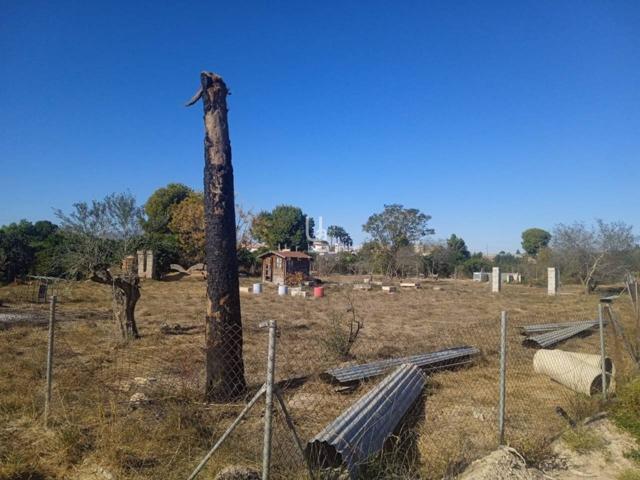 Terreno en venta en Las Torres de Cotillas'' photo 0