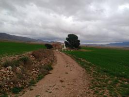 Parcela rústica ubicada en el paraje de El Ardal de Jumilla photo 0