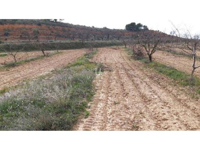 A la venta finca rústica en Paraje Los Charquillos photo 0