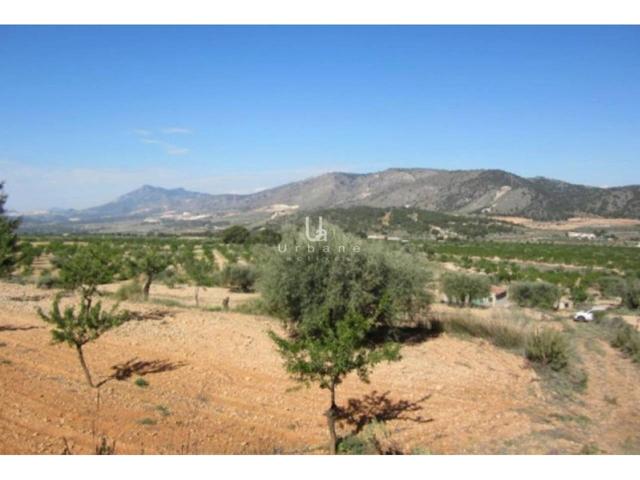 Finca rustica en venta en Abanilla - PRECIO A CONSULTAR photo 0