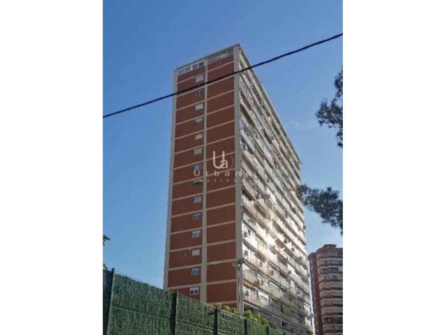 PISO EN BENIDORM photo 0