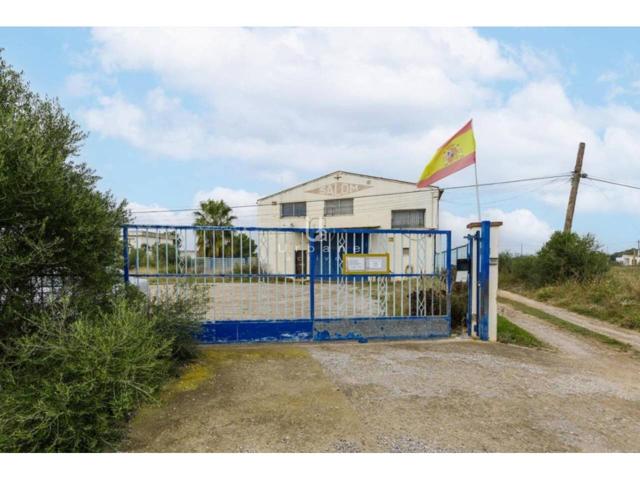 Venta de nave industrial en Benicarló photo 0