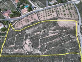 Solar Urbano de 16.200 m² – Ideal para Desarrollo Residencial con Planos de Segregación photo 0