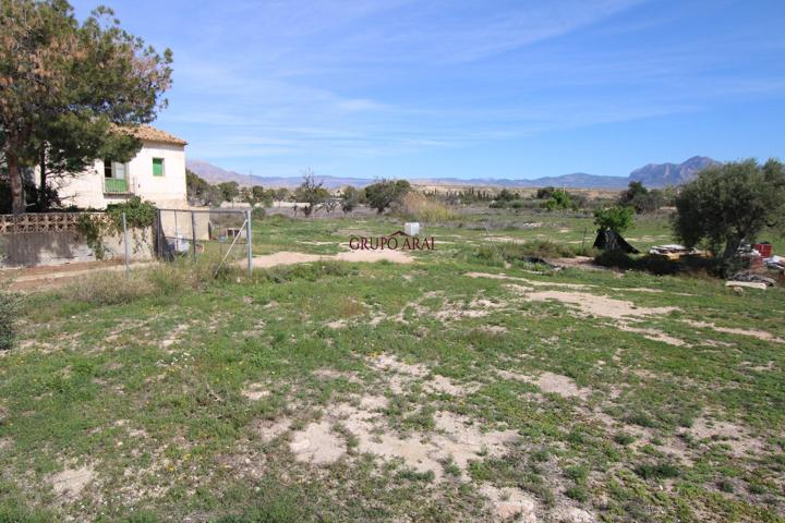 🌿 Parcela Rústica con Vivienda para Reformar en Mutxamel – Más de 10.000 m² con Posibilidad de Cons photo 0