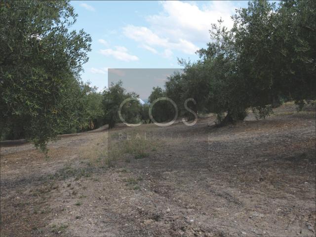 Terreno Urbanizable En venta en Jaen, Jaén photo 0