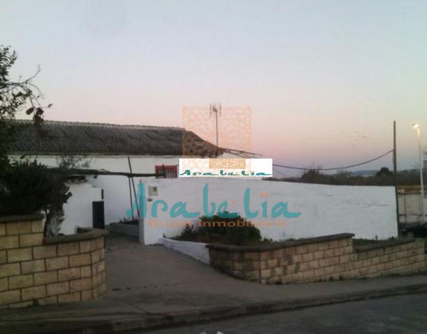 ZONA ENCINARES DE ALCOLEA photo 0