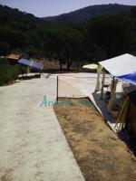 ZONA DE LA JARAS photo 0