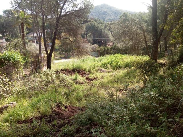 PARCELA URBANIZACIÓN JARAS photo 0