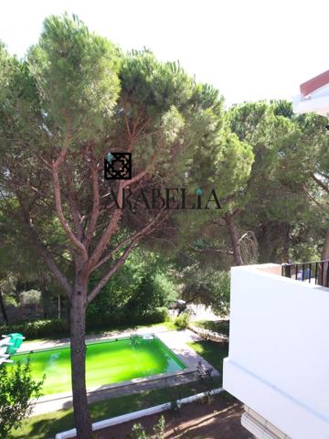 ---GRAN PISO EN LAS JARAS,CON PISCINA COMUNITARIA---- photo 0