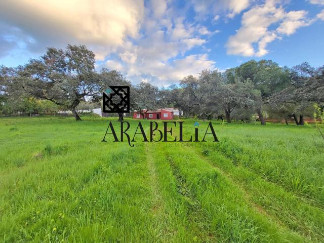 IMPRESIONANTE CASA DE CAMPO (NO HIPOTECABLE) DE 123M2 EN CERRO MURIANO!!! photo 0