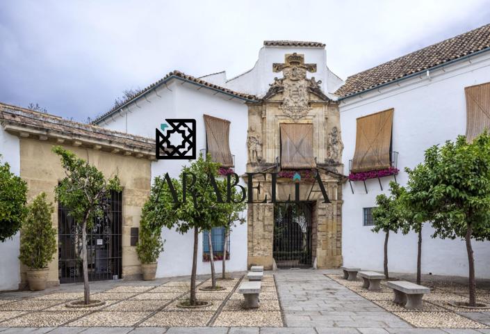 IMPRESIONANTE PISO REFORMADO Y PARA ENTRAR A VIVIR EN EL REALEJO!! photo 0