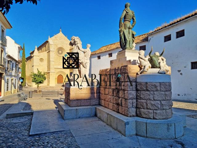 MARAVILLOSA CASA PARA PONER A SU GUSTO EN SANTA MARINA photo 0