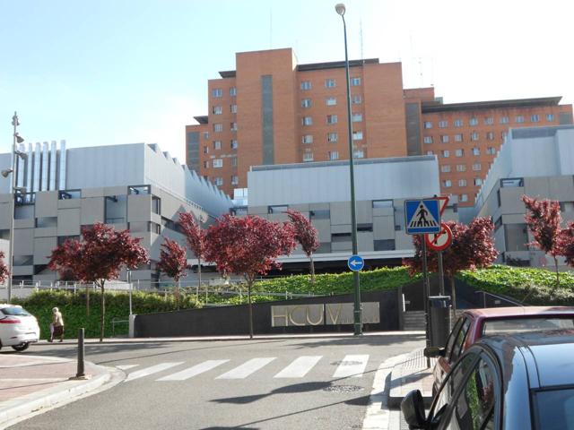 Piso en venta en Hospital-Rondilla-Santa Clara(47011) photo 0