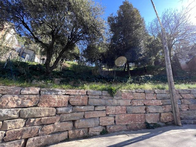 Terreno en venta en La Floresta-Les Planes photo 0