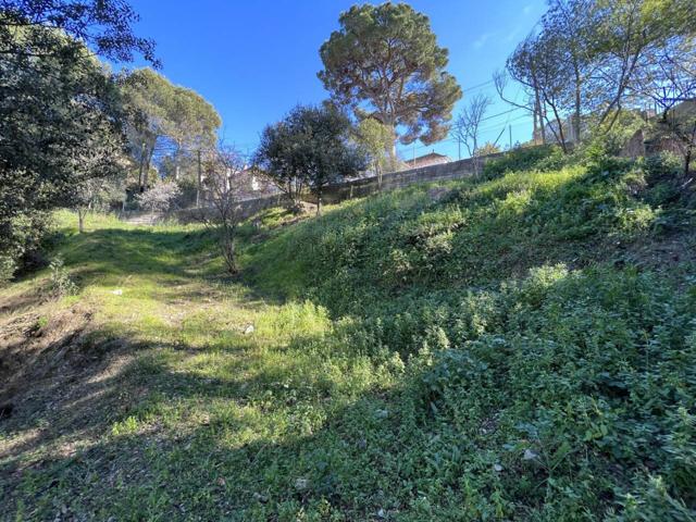 Terreno en venta en La Floresta-Les Planes photo 0