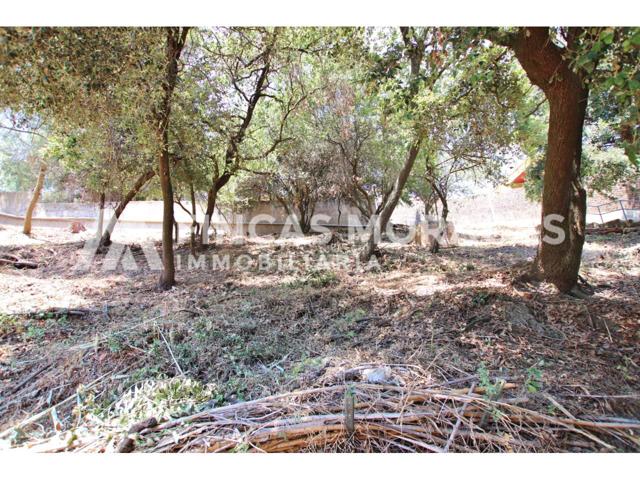 Solar en venta en La Floresta-Les Planes photo 0