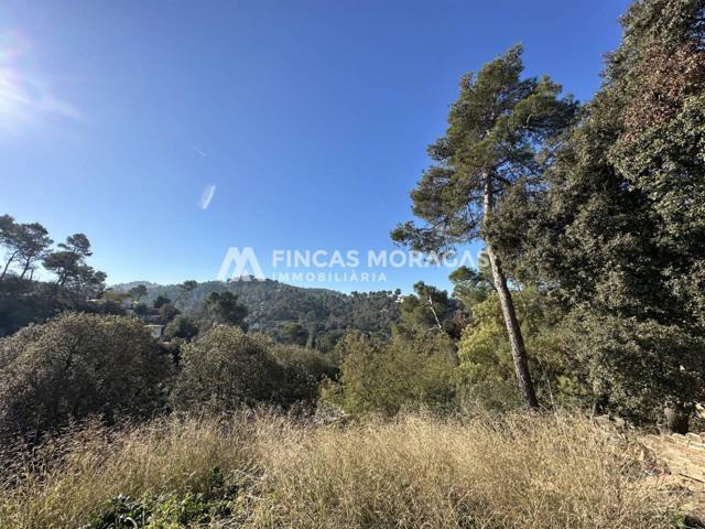 Solar en venta en La Floresta photo 0