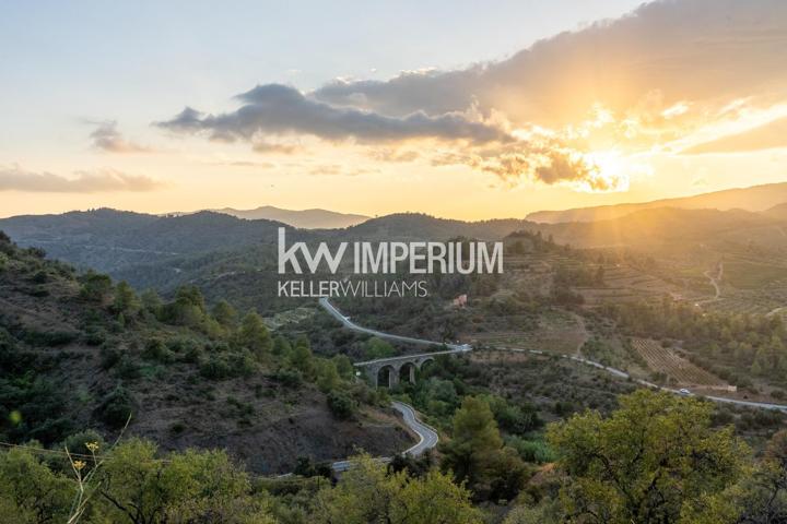 Inversión única en la tierra del vino photo 0