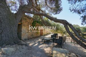 Finca rústica de 4 hectáreas con olivos, almendros y autosuficiencia energética en Arens de Lledó photo 0