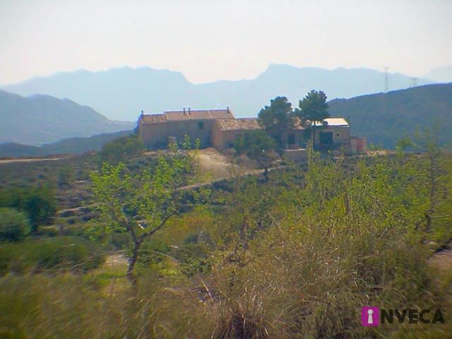 Finca urbanizable en Barinas, Murcia. photo 0