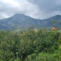 Terreno Urbanizable En venta en Moraleda. 29551, Carratraca (málaga), Carratraca photo 0