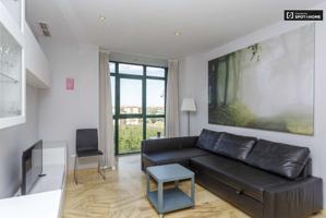 Apartamento luminoso de 1 dormitorio con magníficas vistas de Madrid en alquiler en San Isidro photo 0