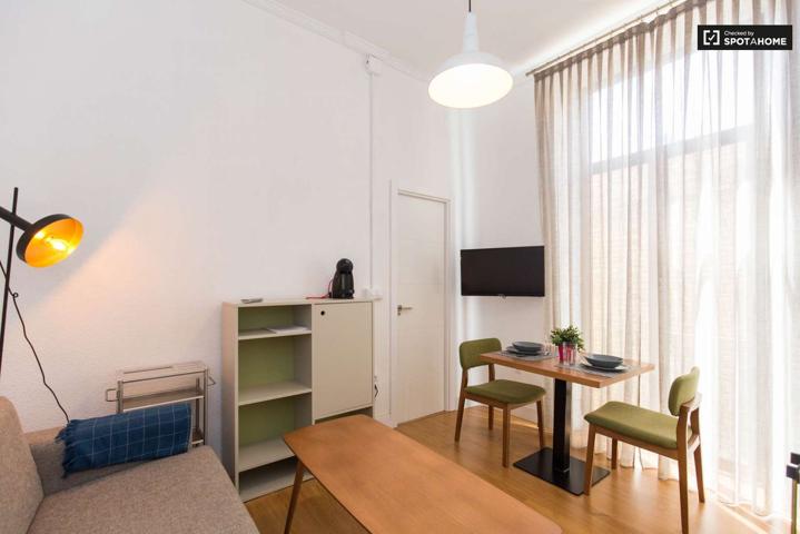 Soleado apartamento de 1 dormitorio con balcón en alquiler en Realejo photo 0