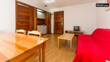 Apartamento de 1 dormitorio en alquiler en Goya photo 0