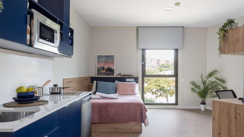 Estudio Superior en Residencia en Sevilla photo 0