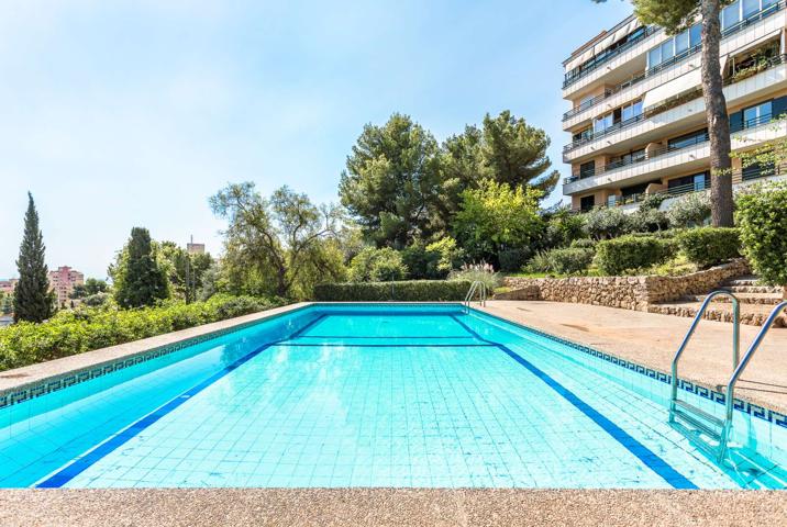 Piso de 2 habitaciones en alquiler en Palma, gastos incluidos photo 0