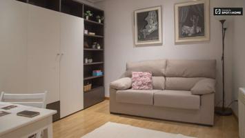 Apartamento de 1 dormitorio en alquiler en La Latina photo 0