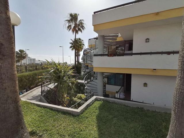 Estudio en alquiler en San Bartolomé de Tirajana photo 0