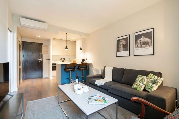 Apartamento de 1 dormitorio en alquiler en Madrid photo 0