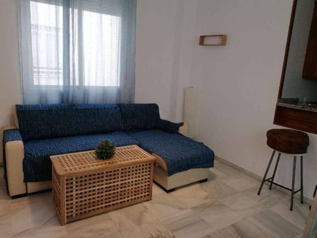 Apartamento de 1 dormitorio en alquiler en Triana photo 0